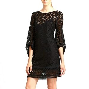 Shelli Segal Little Black Dress Sand Dollar Lace